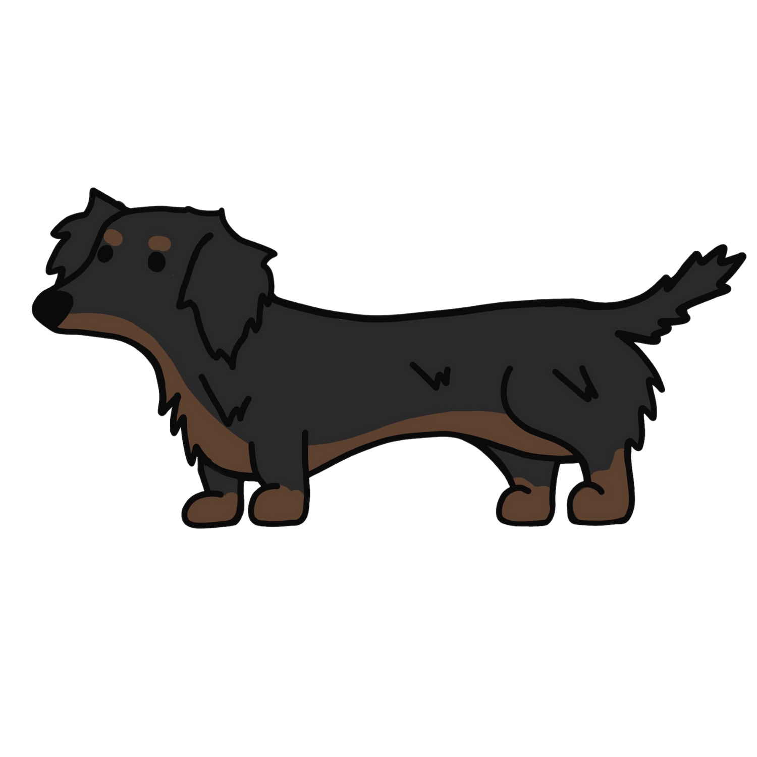 Black and Tan Longhair