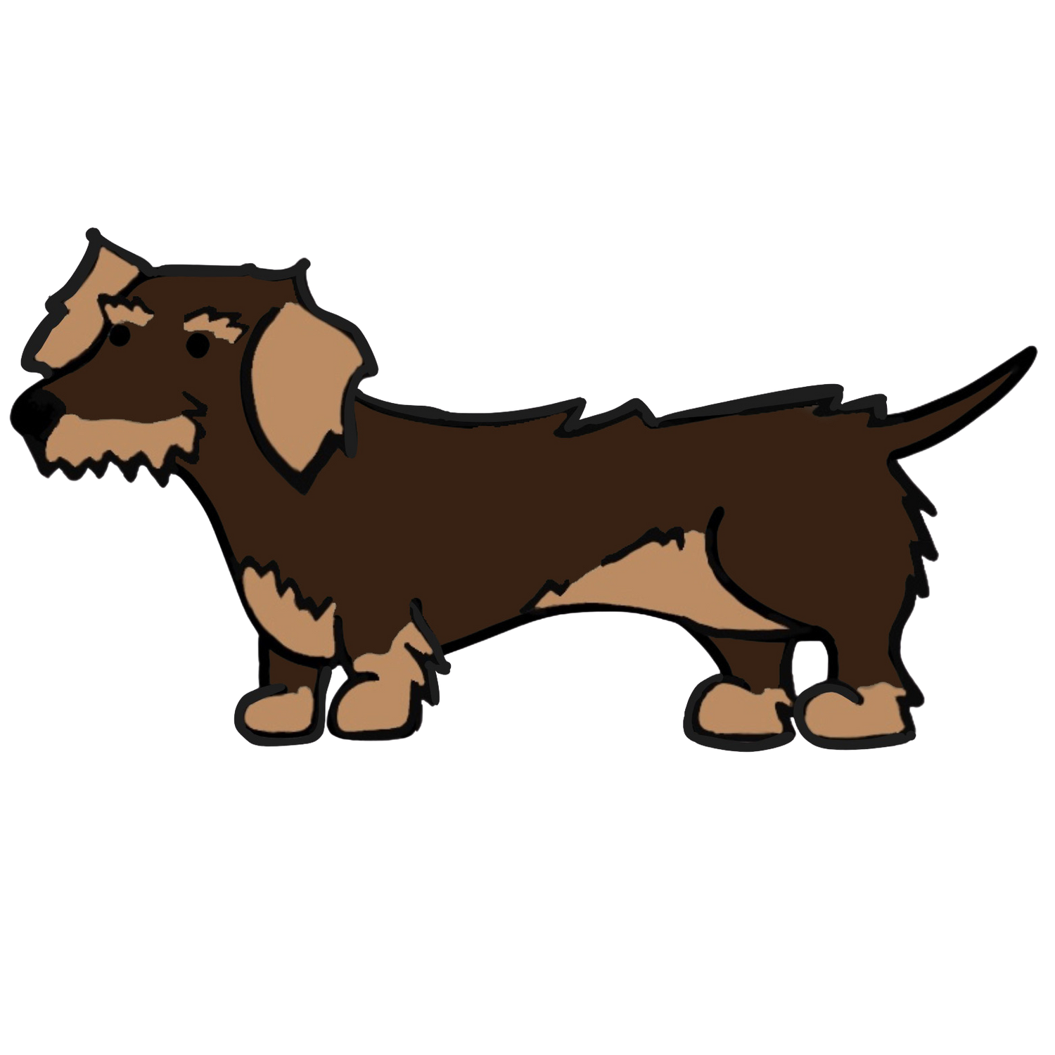 Wire Haired Brown & Tan